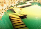 WordPress文章页面自动输出description和Keywords以及添加og社交标签的简单代码