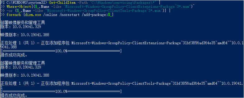 WIN10家庭版安装组策略运行过程截图
